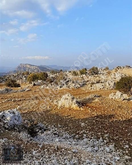 Yenişehir İnsu Satılık Tarla *ün-er* İnsu'da Saykaklık Mevkinde 3.044 M2 Tarla