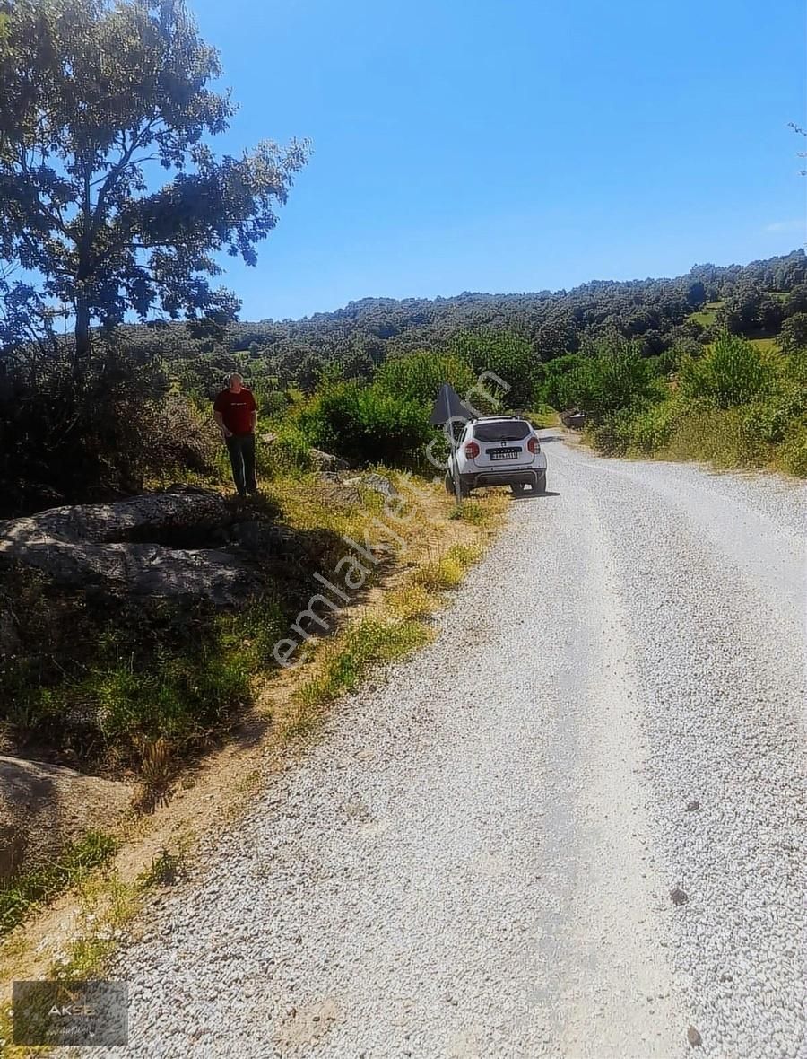 Balya Göloba Satılık Tarla ŞOK.ŞOK.BALIKESİR BALYADA MÜTHİŞ GÜZEL FIRSAT SATILIK ARSA