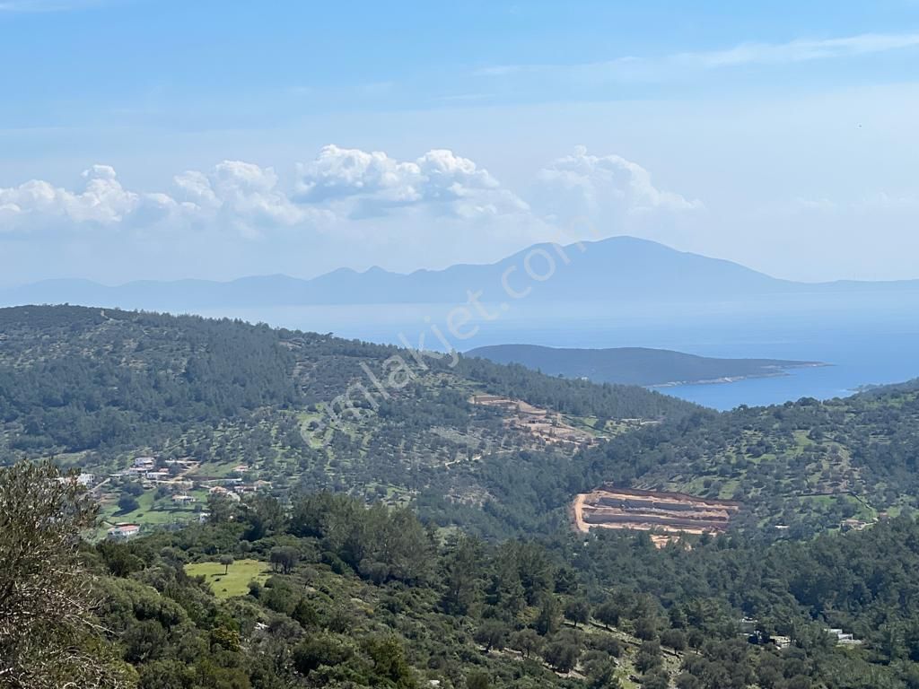 Bodrum Çiftlik Satılık Tarla Bodrum Yalıçiftlik'te Satılık Yatırımlık Arazi