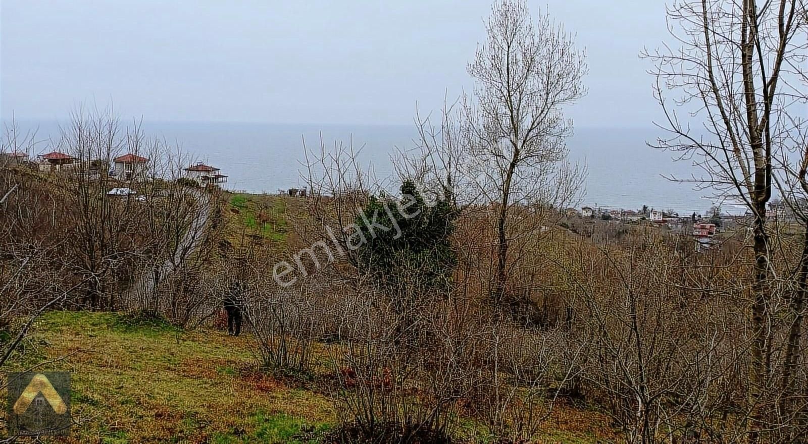 Perşembe Çaytepe Satılık Bağ & Bahçe DİVAN GAYRİMENKUL PERŞEMBE ÇAYTEPE MAH 549 M2 SATILIK ARSA