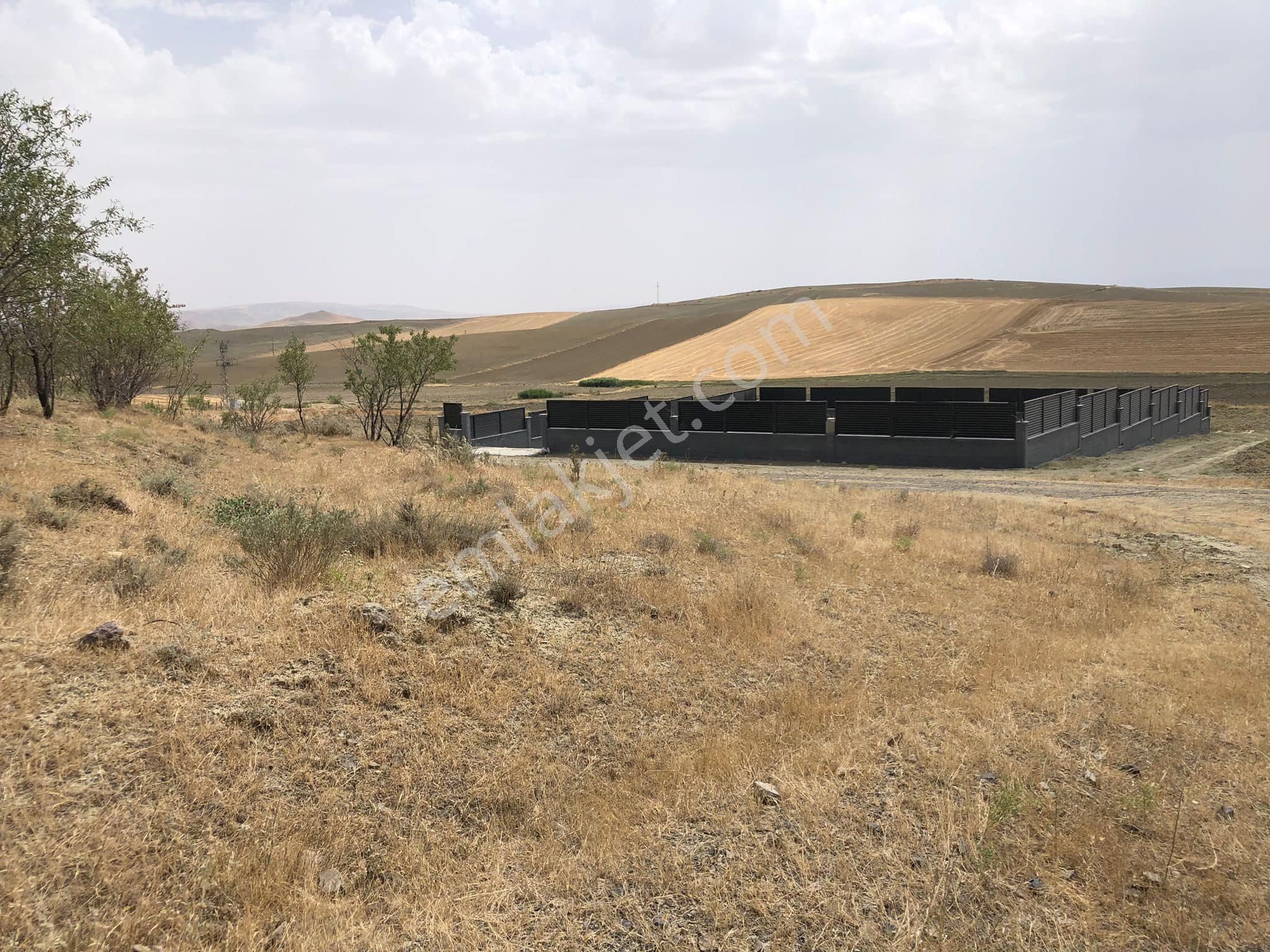 Polatlı Şentepe Satılık Muhtelif Arsa Ankara Polatlı Şentepe Mahallesi Sağ Taraf Da 1094 M2 Satılık Arsa