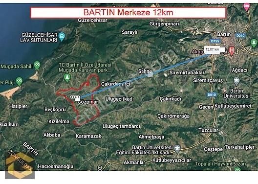 Bartın Merkez Gözpınar Köyü Satılık Tarla 8,5 Dönüm Verimli Fındık Bahçesi BU FIRSAT KAÇMAZ