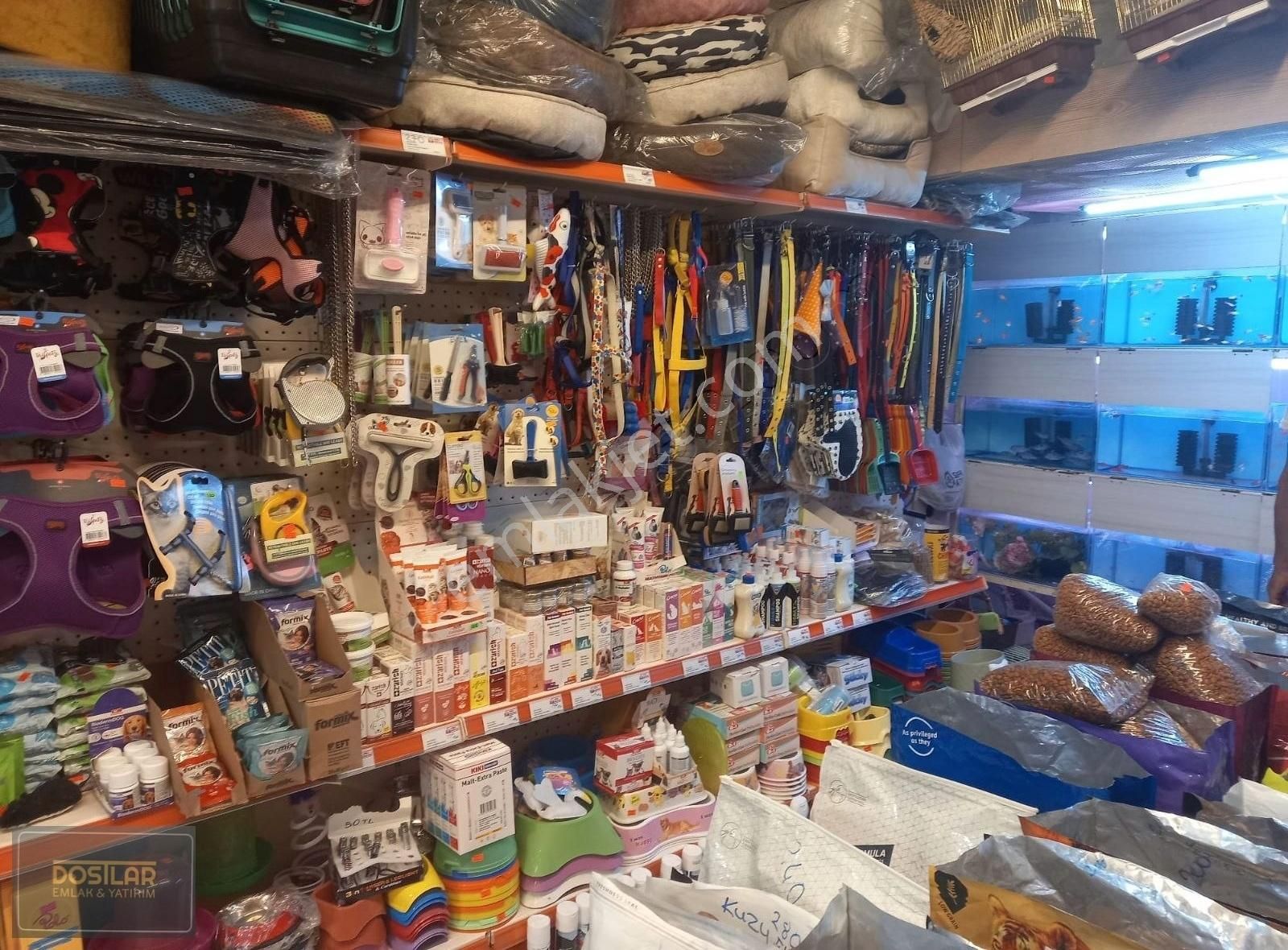 Odunpazarı İstiklal Devren Dükkan & Mağaza Esnaf Sarayında Çalışır Durumda Devren Kiralık Pet Shop