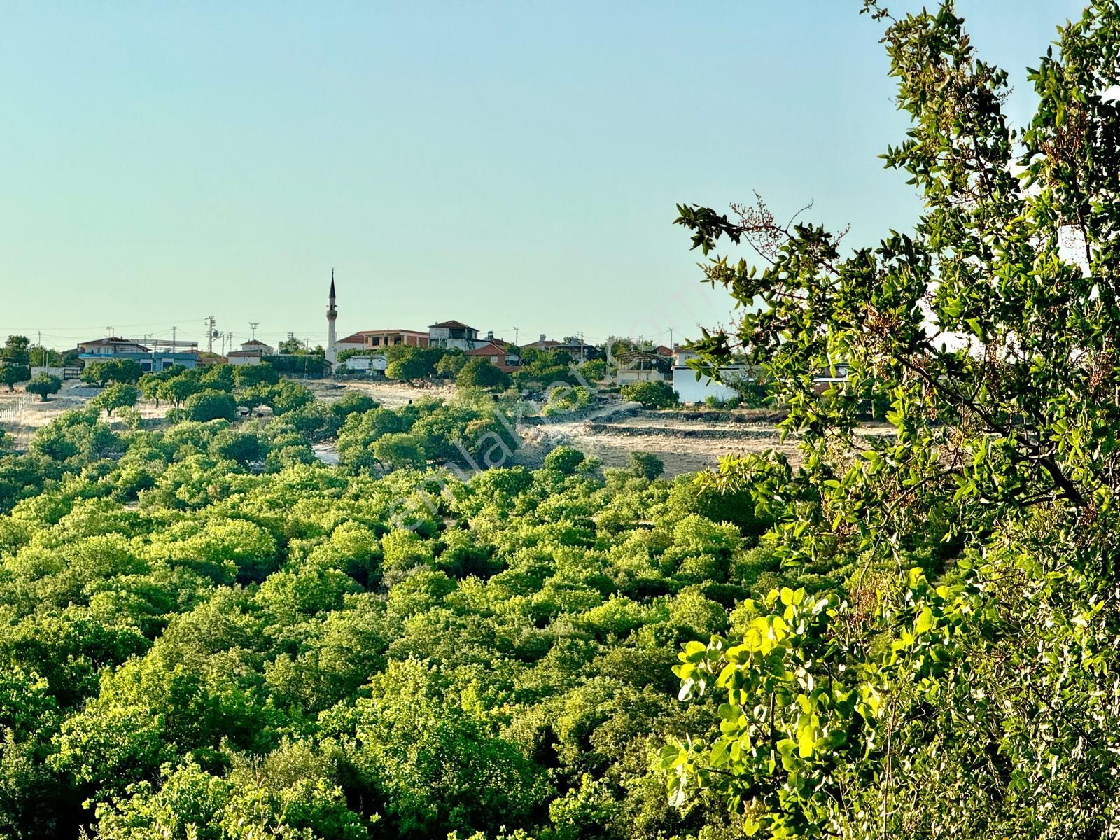 Yunusemre Küçüksümbüller Satılık Tarla Manisa Küçükbelen ' De 7.600 M2 Tarla , Köye Yakın