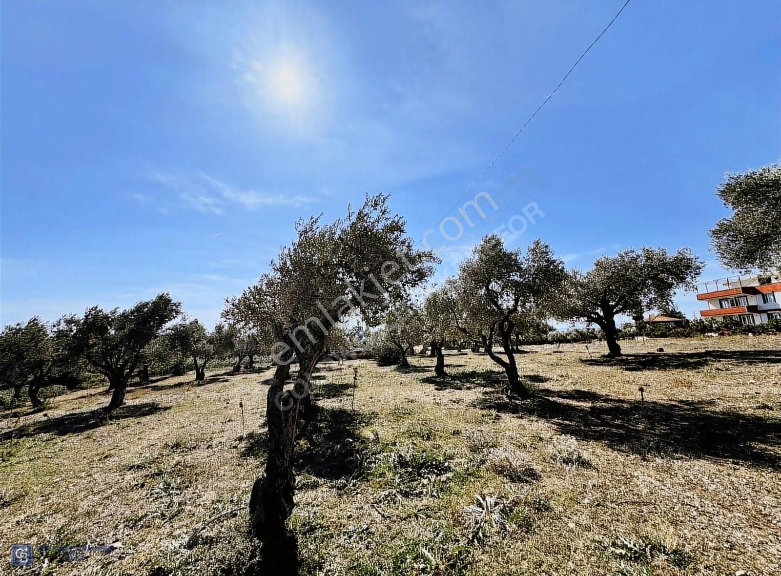 Torbalı Yazıbaşı Satılık Konut İmarlı Torbalı'da Satılık Arsa