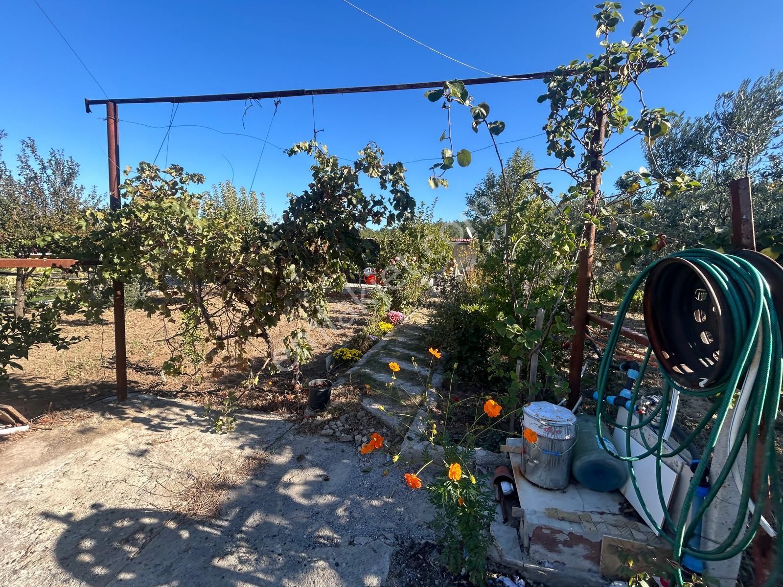 Menderes Turyap'tan Yeniköy'de 345m² Koop. Hisseli Bahçe - Görsel 12