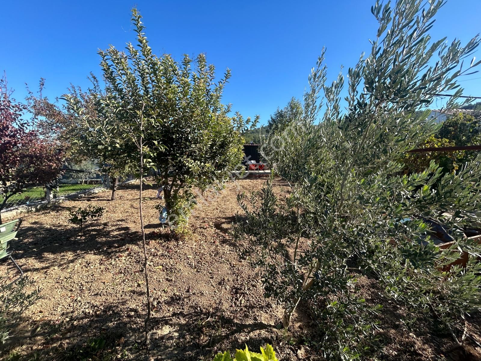 Menderes Turyap'tan Yeniköy'de 345m² Koop. Hisseli Bahçe - Görsel 2