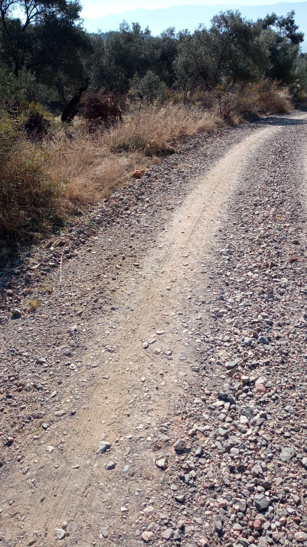 Tire Derebaşı Satılık Zeytinlik Doğadan İzmir Tire'de Yatırımlık Zeytinlik