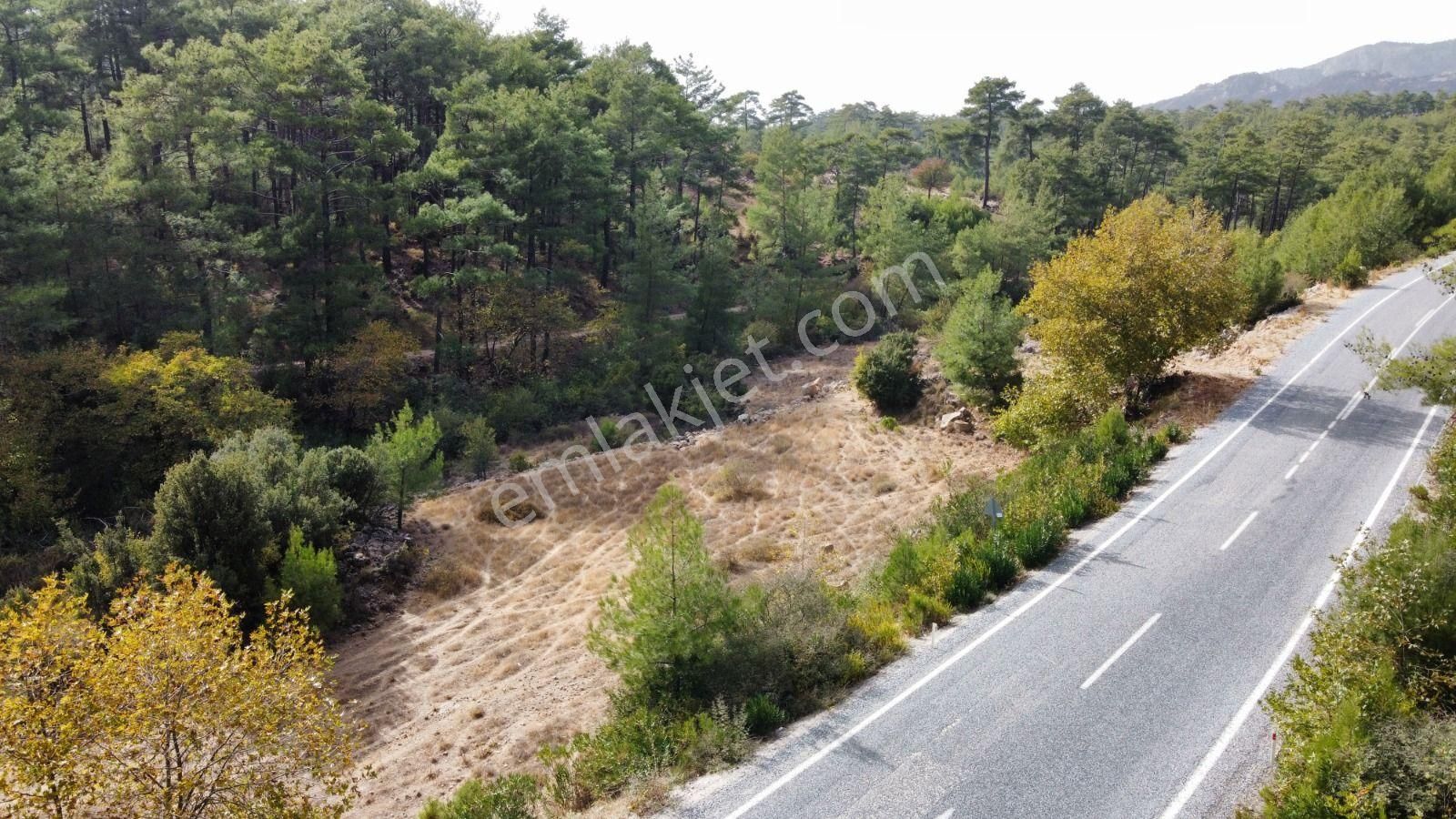 Menteşe Kıran Satılık Tarla Selda Kozalı'dan Satılık Kıran Sarnıç Karayolu Cepheli Arsa