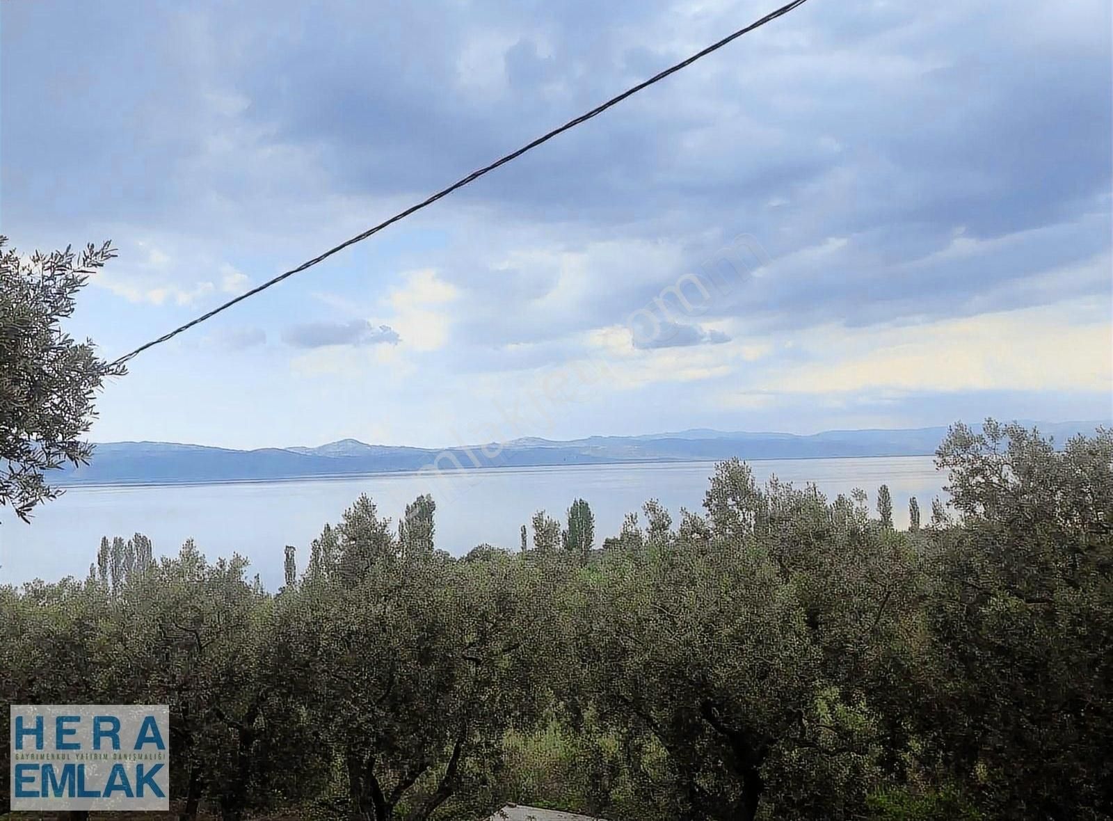 İznik Müşküle Satılık Zeytinlik GÖL KIYISINDA YER ARAYANLAR İÇİN