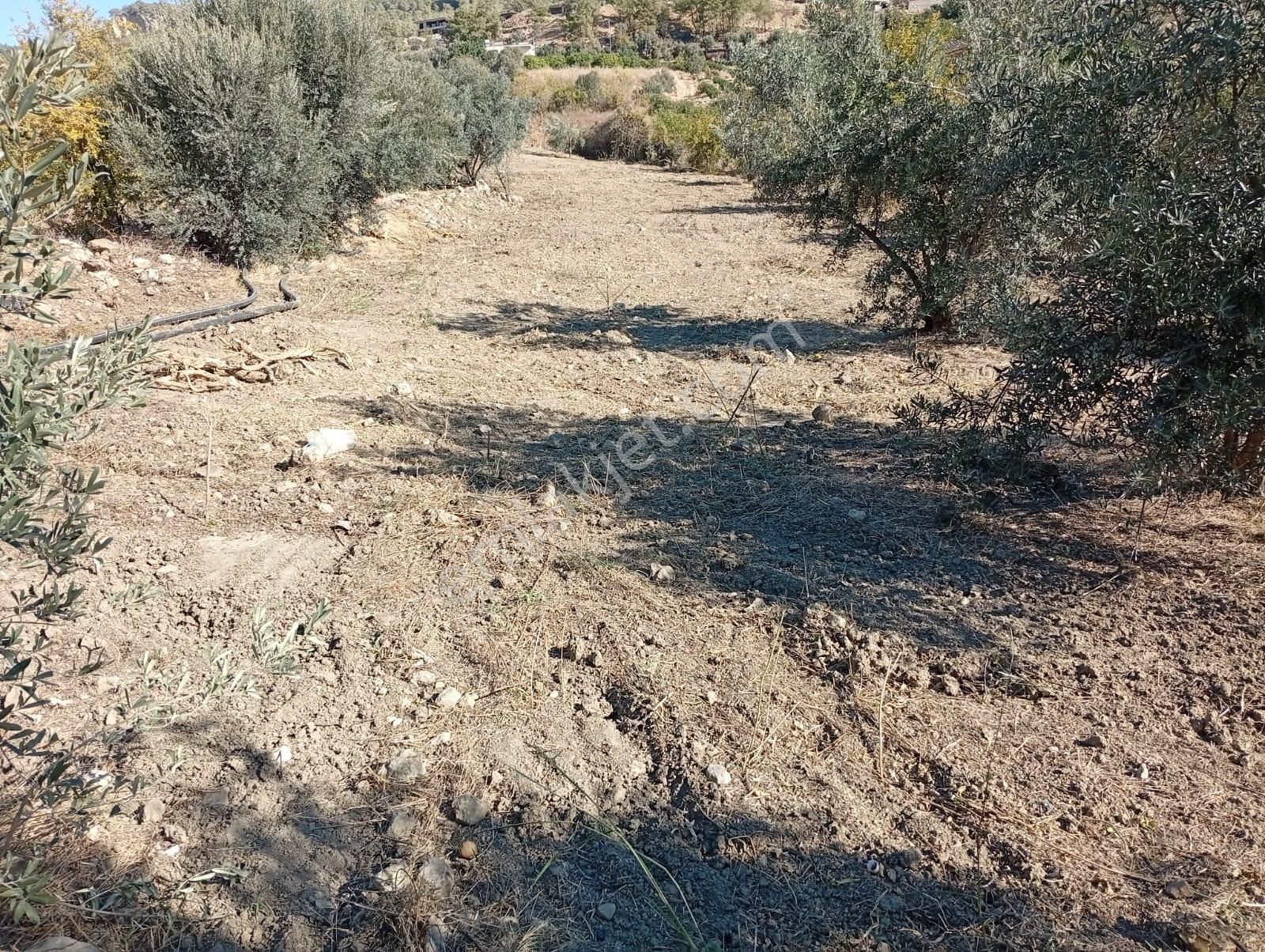 Mezitli Çevlik Satılık Konut İmarlı Çevlikte Yatırımlık İmarlı Manzaralı Arsa