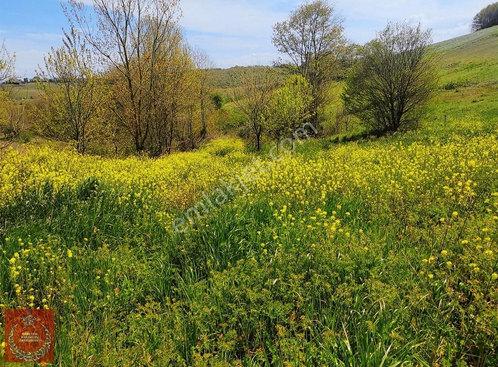 Kandıra Hıdırlar Mah Yollu Ve İmarlı Arazi - Görsel 8
