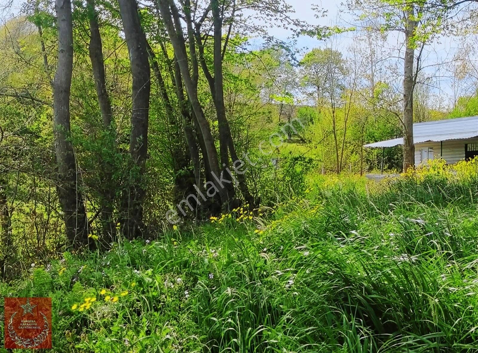 Kandıra Hıdırlar Mah Yollu Ve İmarlı Arazi - Görsel 3