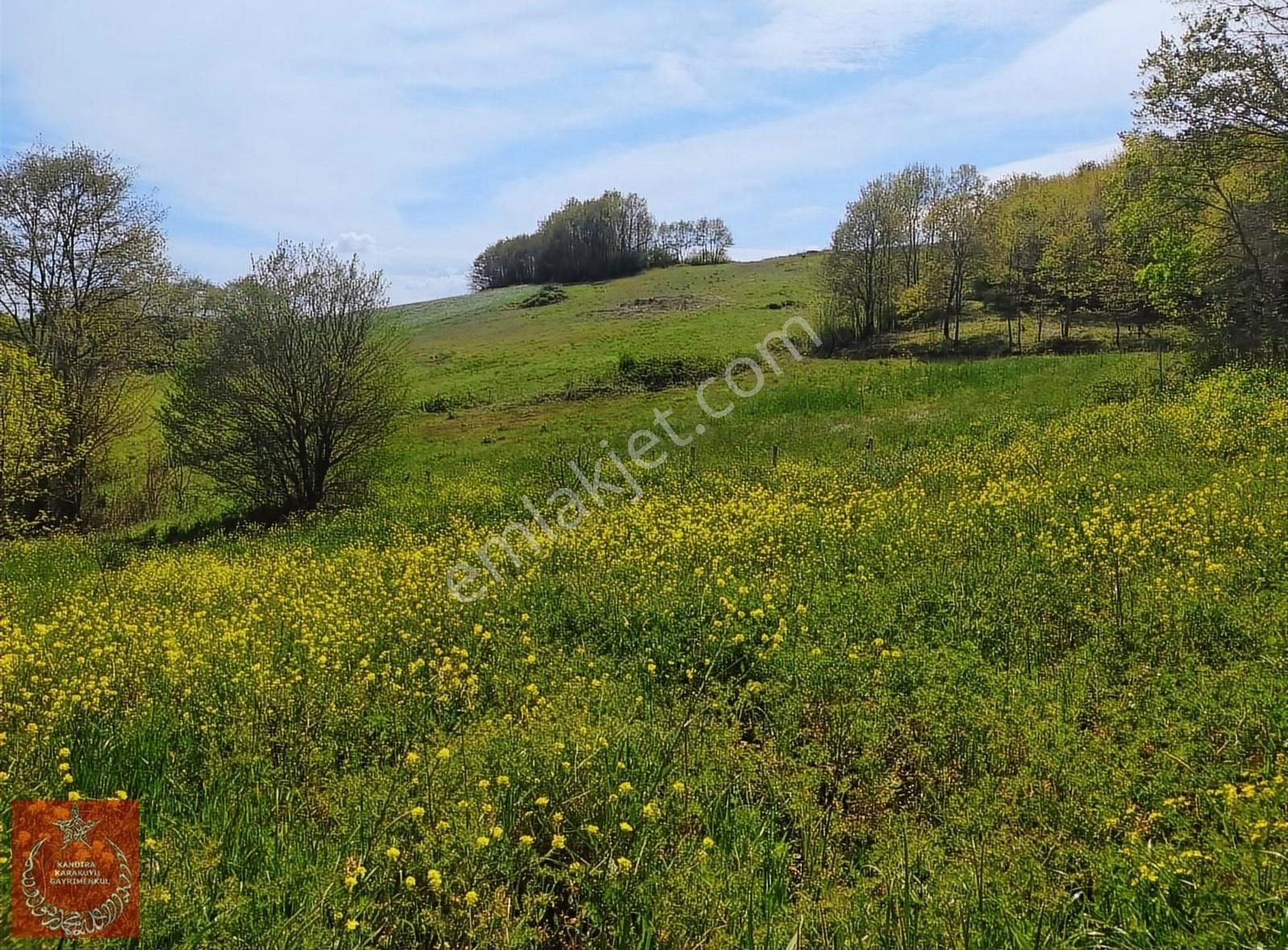 Kandıra Hıdırlar Mah Yollu Ve İmarlı Arazi - Görsel 6