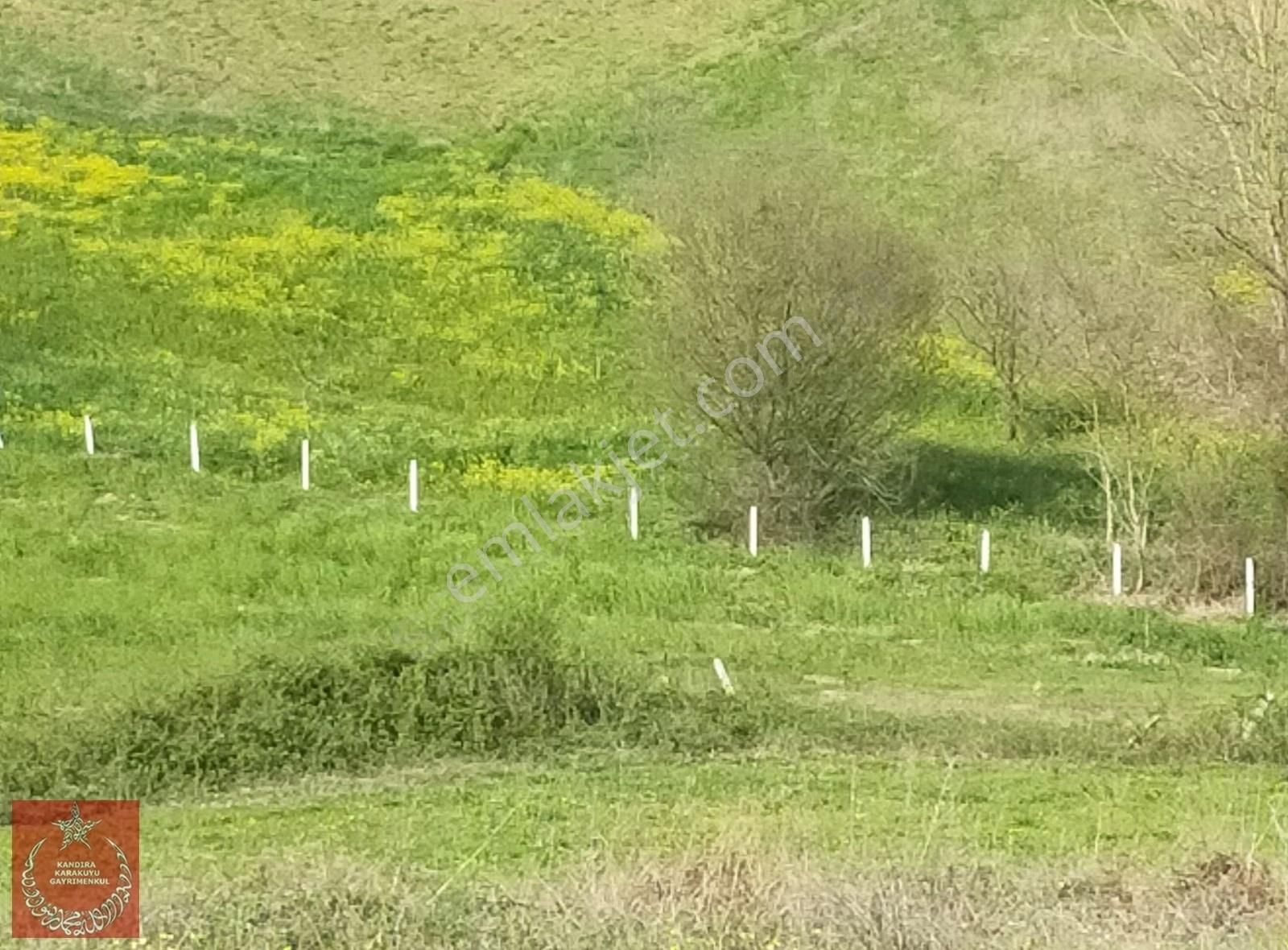 Kandıra Hıdırlar Mah Yollu Ve İmarlı Arazi - Görsel 12