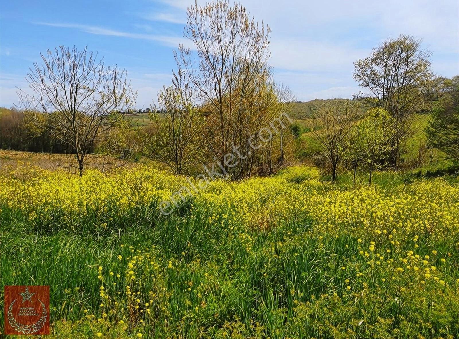 Kandıra Hıdırlar Mah Yollu Ve İmarlı Arazi - Görsel 20