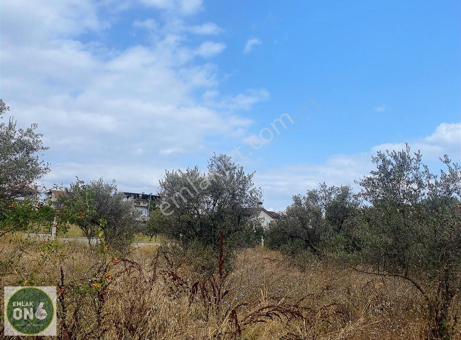 Bursa Orhangazi Gölyaka Mahallesi Satılık Arsa - Görsel 5