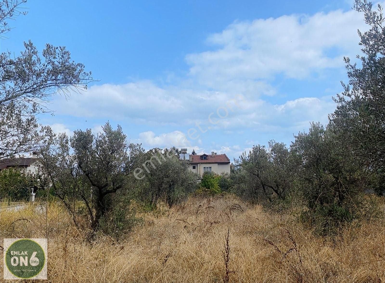 Bursa Orhangazi Gölyaka Mahallesi Satılık Arsa - Görsel 14