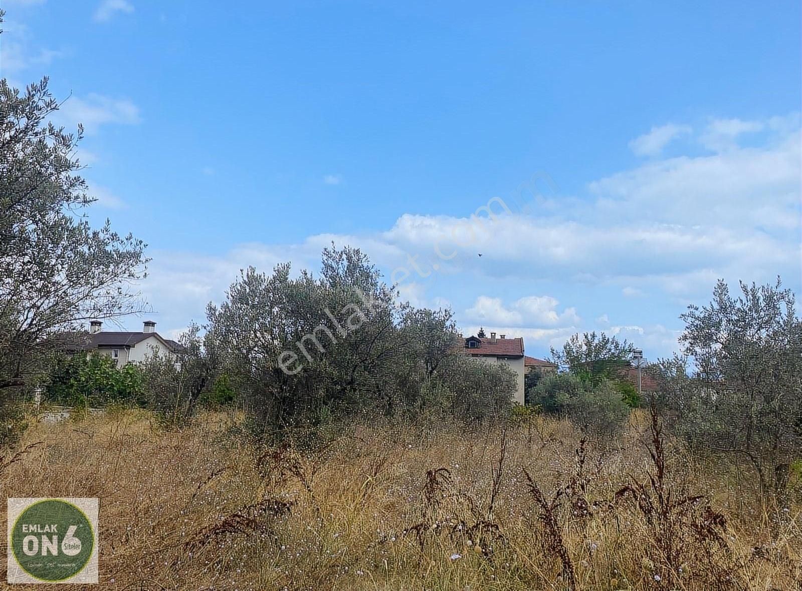 Bursa Orhangazi Gölyaka Mahallesi Satılık Arsa - Görsel 6