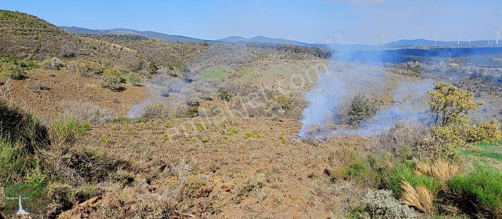 Bayramiç Aşağışevik Köyü Satılık Bağ & Bahçe ÇANAKKALE BAYRAMİÇTE 22 DÖNÜM KELEPİR ARAZİ