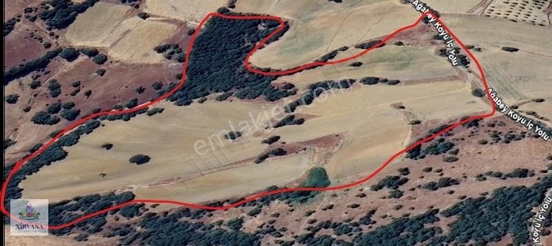 Mutlulukta Nirvanaya Uşak Eşme Ağabeyde 35 Dönüm Ekilir Arazi - Görsel 4