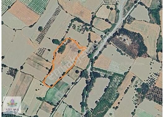 Mutlulukta Nirvana Muğla Ula Karabörtlen Köyünde 23.622 M2 Tarla - Görsel 2