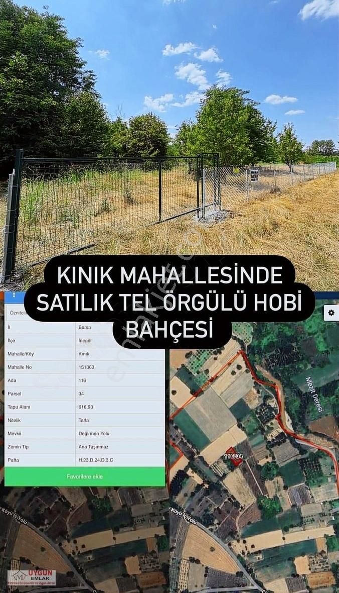 İnegöl Kınık Satılık Tarla Kınık Mahallesinde Satılık Tel Örgülü Hobi Bahçesi