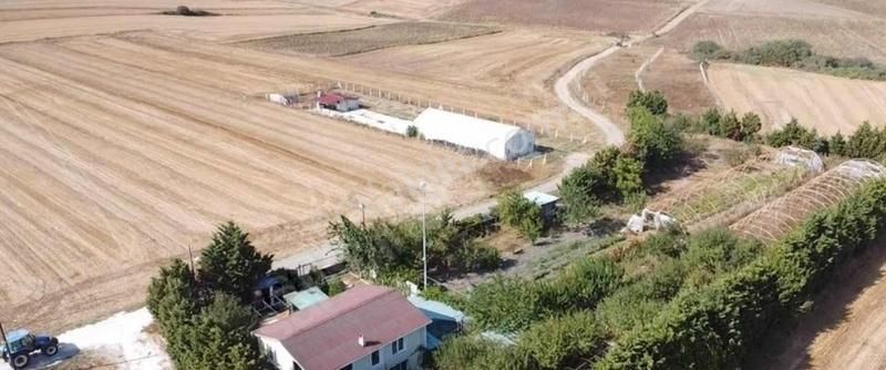 Ergene Yulaflı Satılık Tarla Turyap Hürriyetten Ergene Yulaflıda 3768 M2 Satılık Tarla