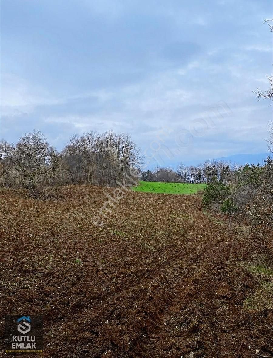 Mudurnu Taşkesti Bld. (Karaçomak) Satılık Tarla Mudurnu Taşkesti Beldesi Satılık Tarla 2759 M2