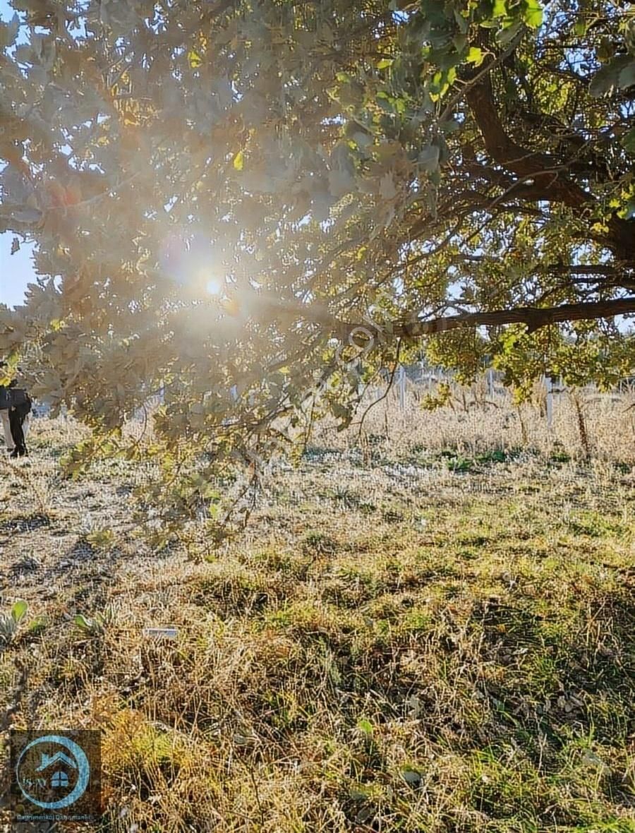 Menderes Dereköy Satılık Tarla Menderes Dereköyde 400 m²