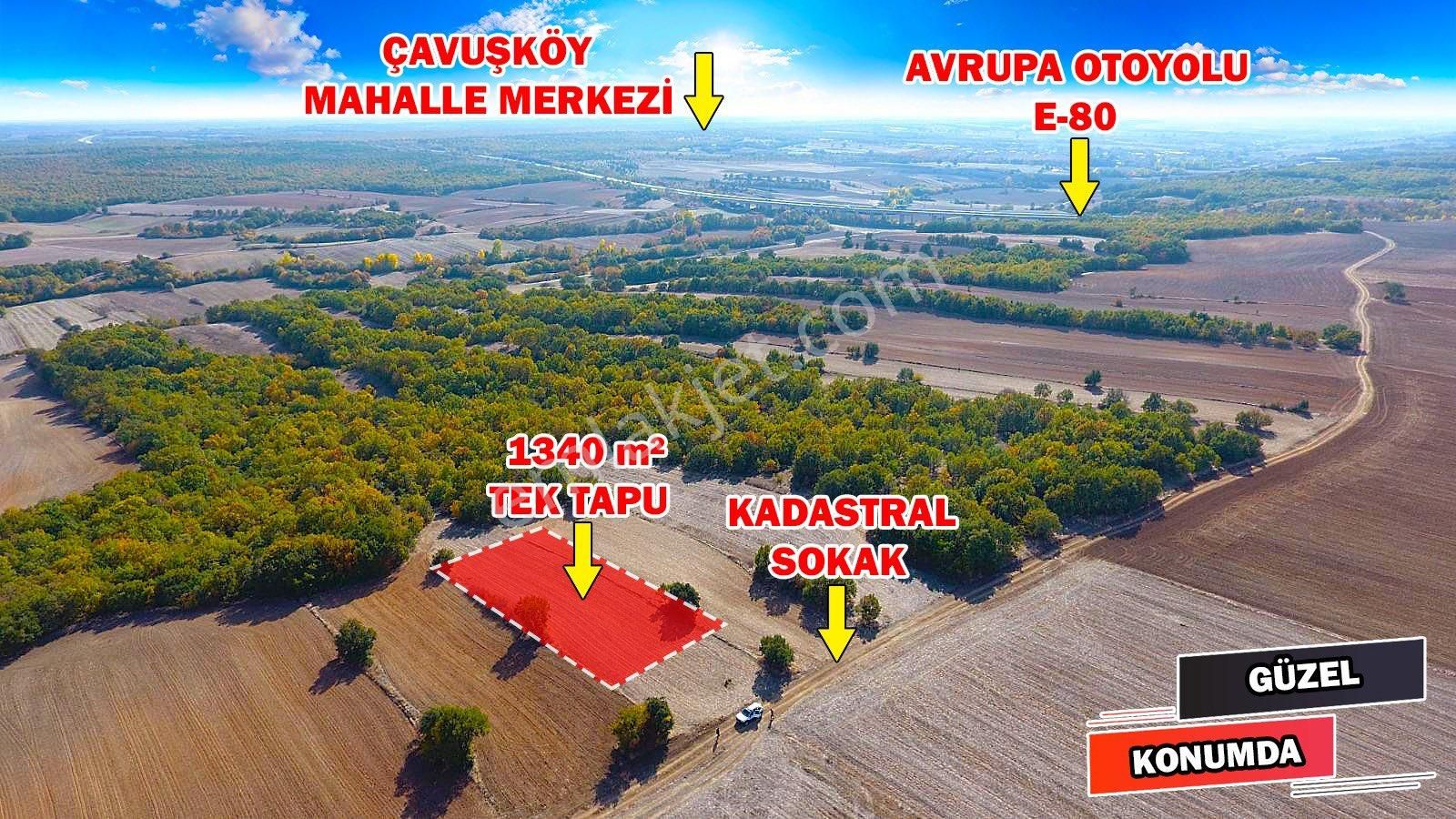 Babaeski Çavuşköy Köyü Satılık Tarla Kırklareli Babaeski Çavuşköy 1.340 M2 Müstakil Tek Tapu Tarla