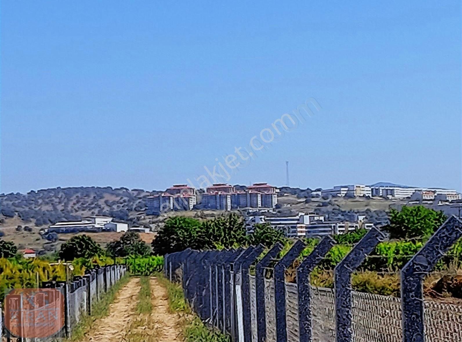 Yunusemre Yağcılar Satılık Tarla Manisa Yunusemre Yağcılarda Fırsat Hobi Bahcesi