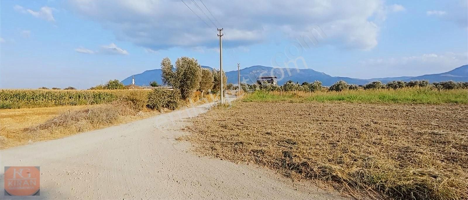 Yunusemre Muradiye Satılık Tarla Manisa Yunusemre evrenos mah 2768 metre kare köşe parsel