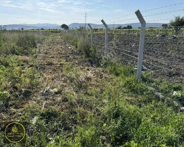 Yunusemre Muradiye Satılık Tarla Ömür Emlak Tan Üçpınar Da Tek Tapu Kupon Tarla