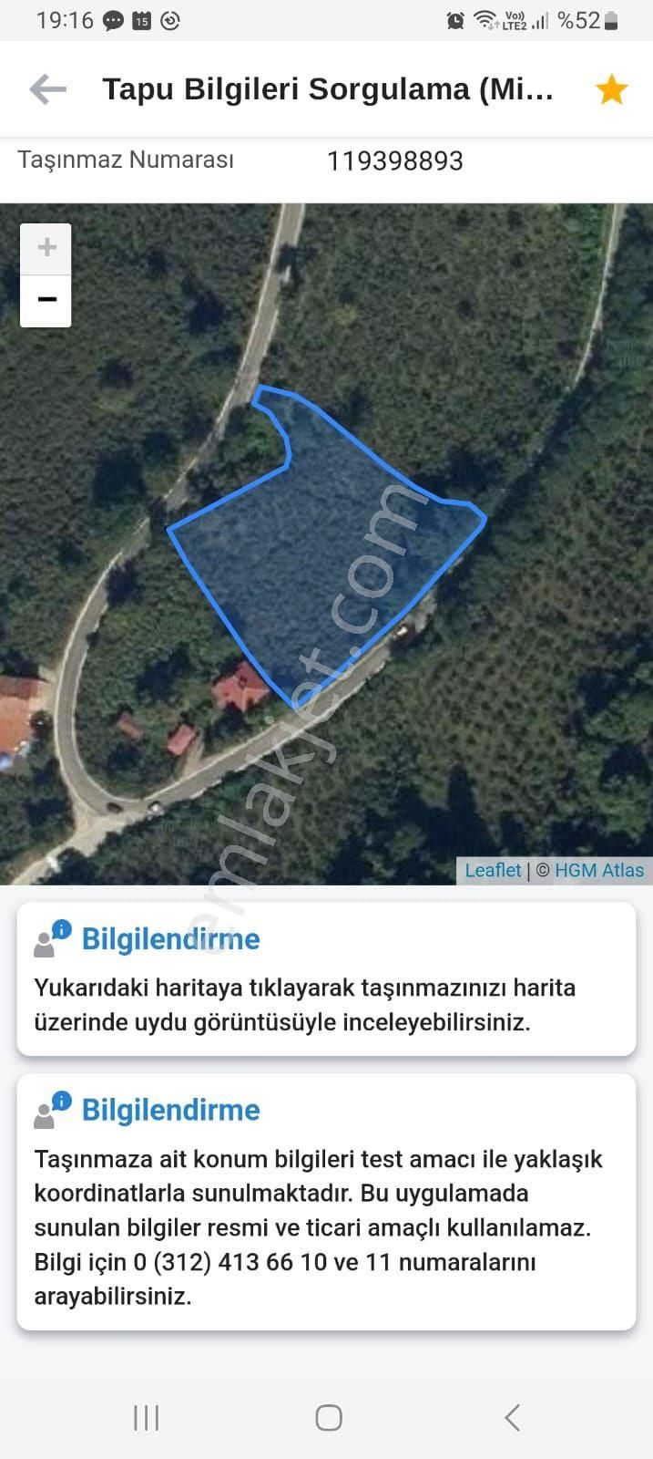 Ulubey Karakoca Satılık Bağ & Bahçe Ana Asfalt yola sıfır,Eğimsiz Düz Fındık Bahçesi.