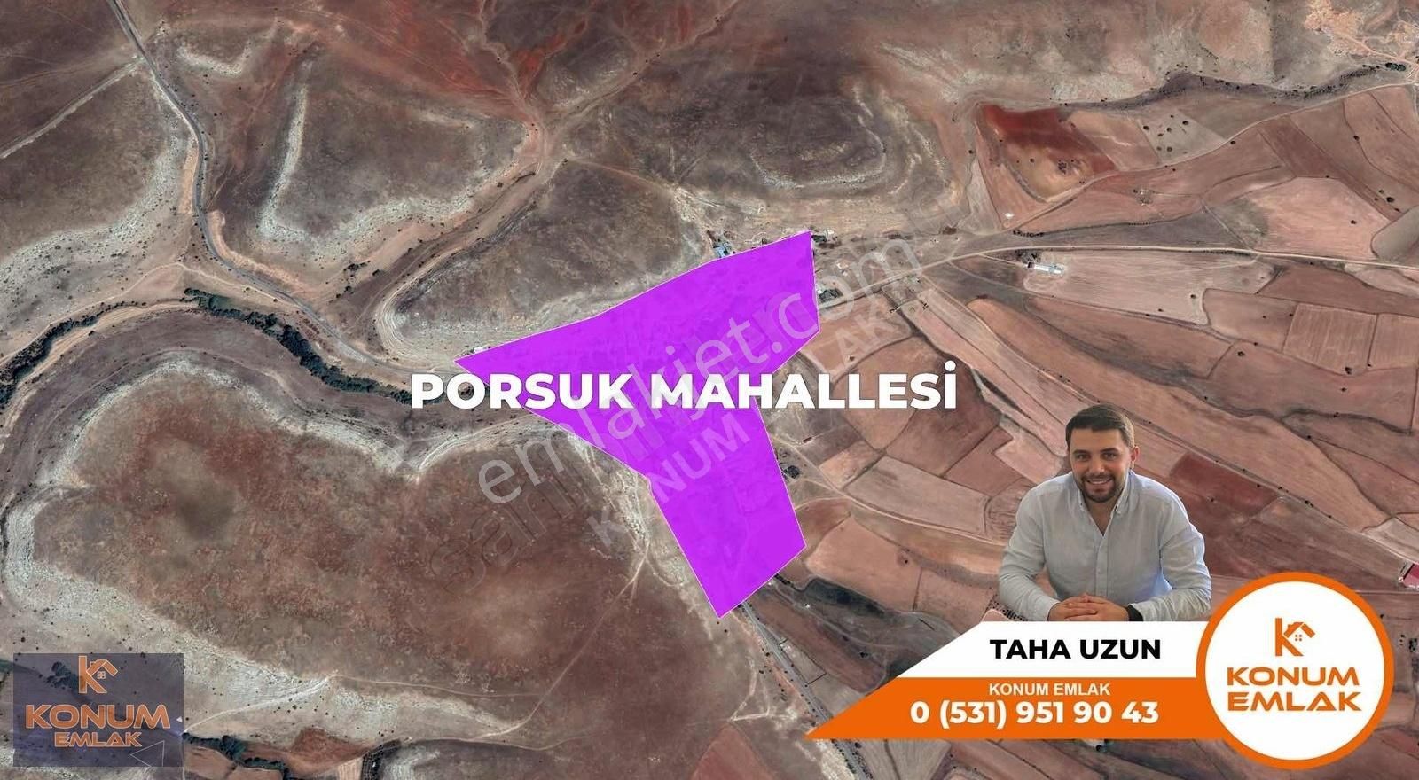 Sivas Merkez Porsuk Köyü Satılık Tarla Konum Emlak'tan Porsukta Tarla