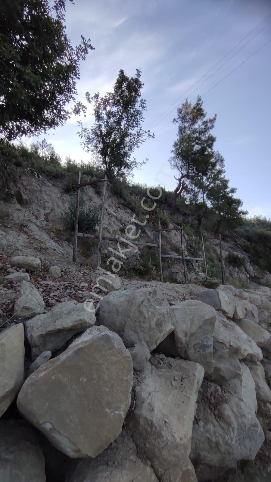 Sahibinden Müstakil Komple Yeni Ev - Görsel 9