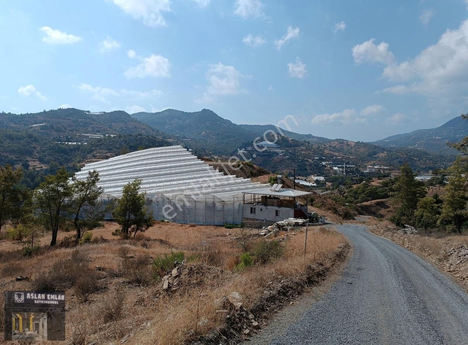 Gazipaşa Karalar Satılık Tarla SATILIK MERKEZE YAKIN 6 DÖNÜM TARLA ÜZERİ MUZ SERASI & BAHÇE EVİ