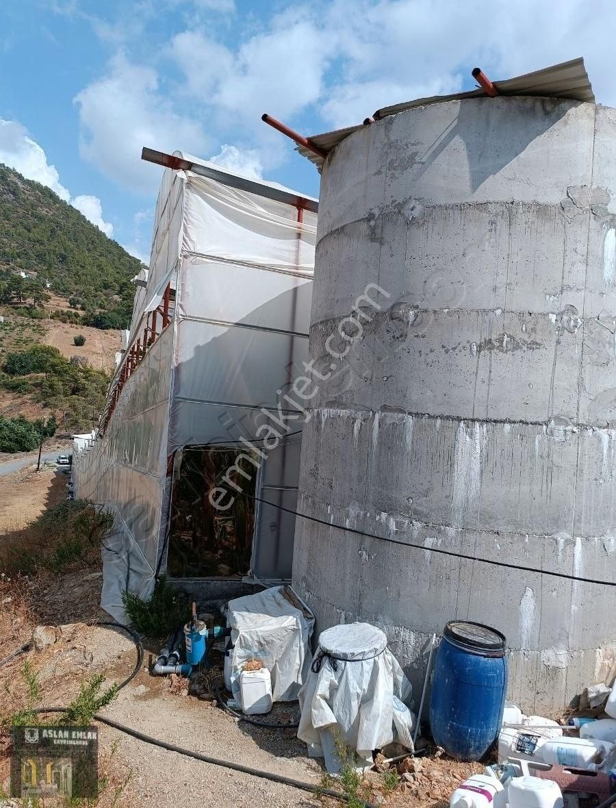 Satılık Merkeze Yakın 6 Dönüm Tarla Üzeri Muz Serası & Bahçe Evi - Görsel 6