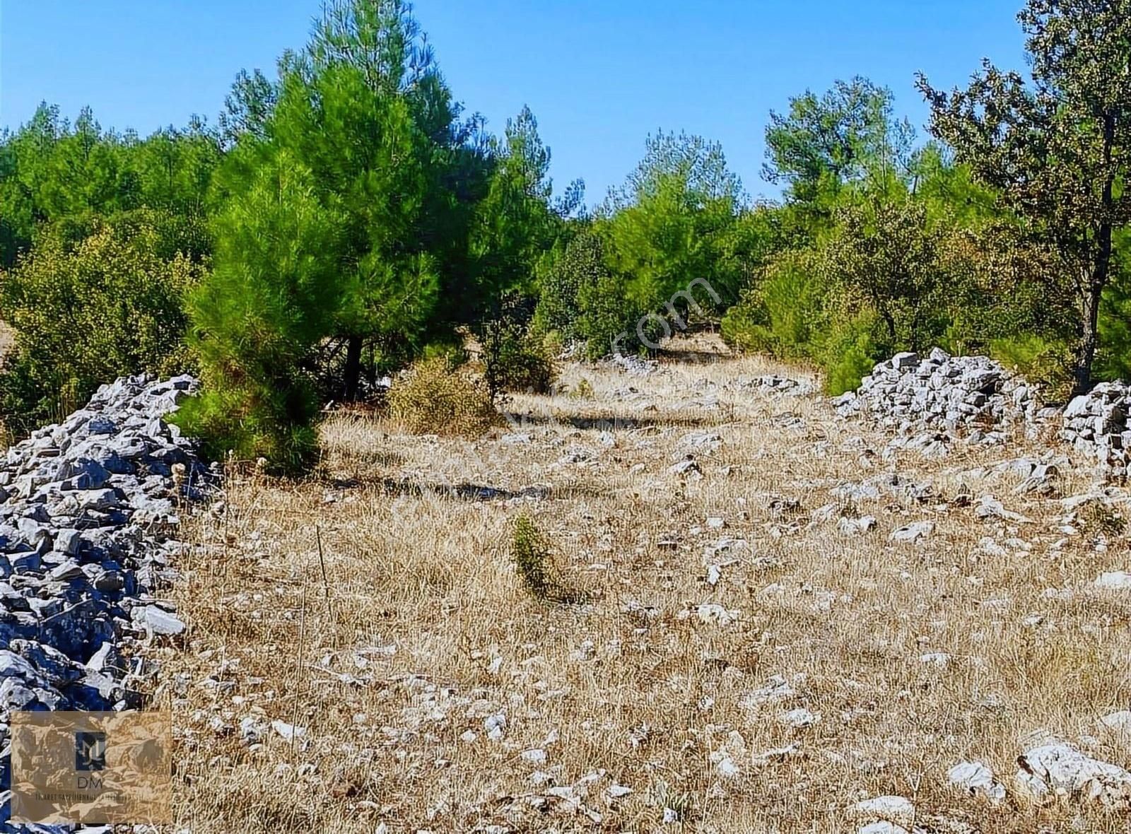 Menteşe Denizova Satılık Tarla Fırsat !!! Köye 600 M Mesafede, 3250 M2 Yatırımlık Arazi