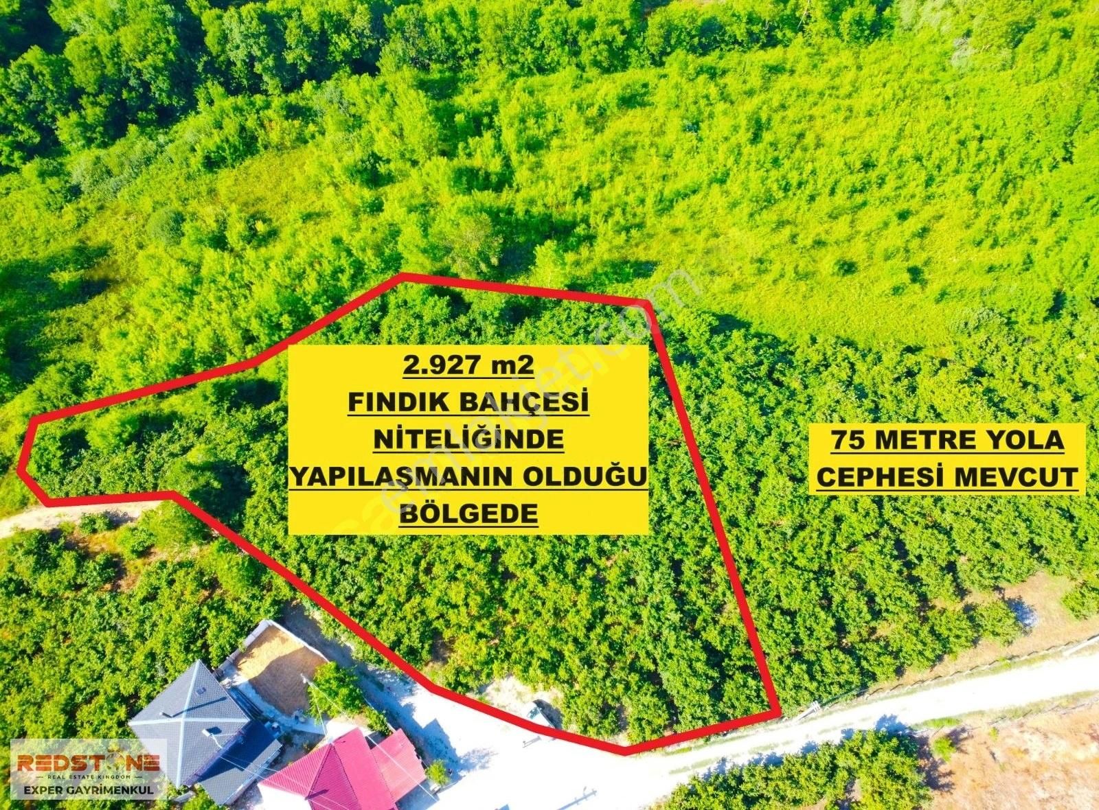 Kocaali Yayla Satılık Konut İmarlı Kocaali'de Yola Cephe Satılık Arsa