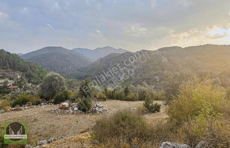 Dalaman Çöğmen Satılık Tarla Niligo'dan Dalaman Çögmende Satılık 1800 M2 Mustakil Tarla