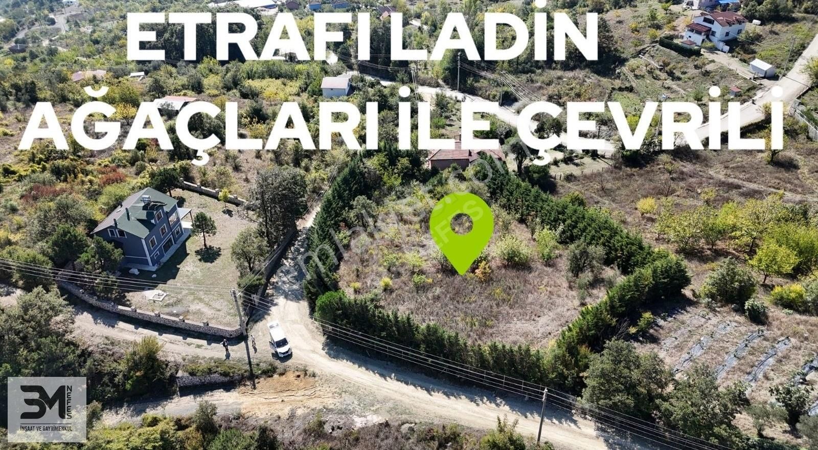 Geyve Bağlarbaşı 2850 M2 ,su Aboneliği,beton Direk İle Çevrili - Görsel 22