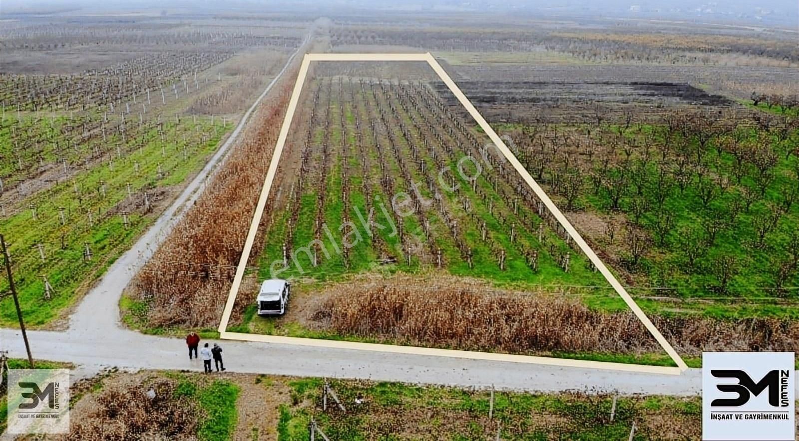 Pamukova Bacıköy Satılık Tarla SAKARYA PAMUKOVA 3450 M2 ,DAMLA SULAMA,DİREKLİ ÜZÜM BAĞI