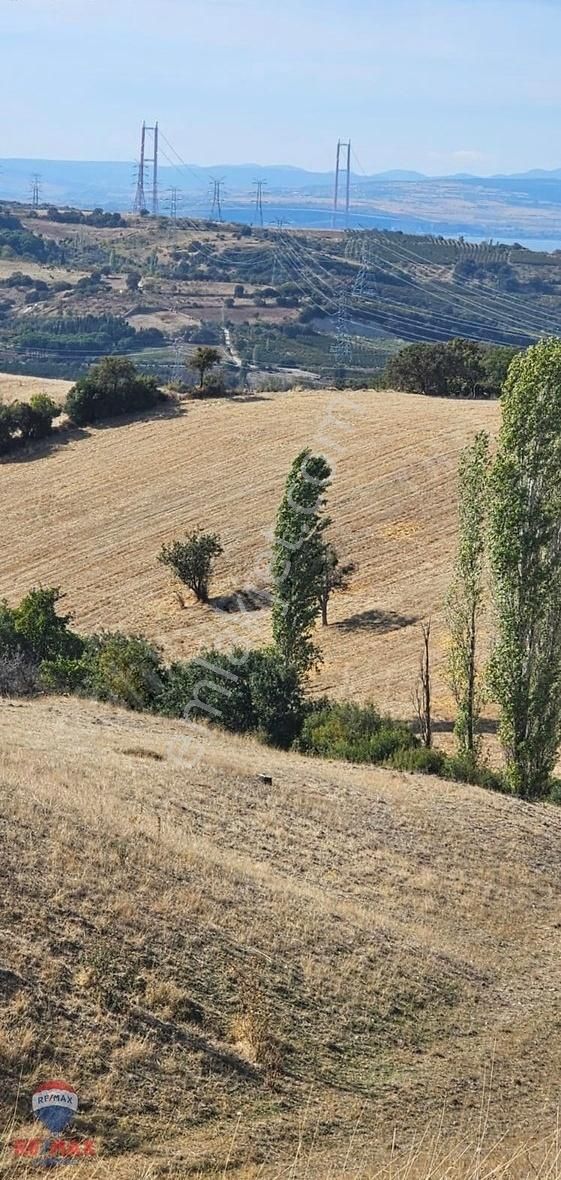 Lapseki Şahinli Köyü Satılık Özel Kullanım Boğaz Manzaralı Doğa Harikası Arazi