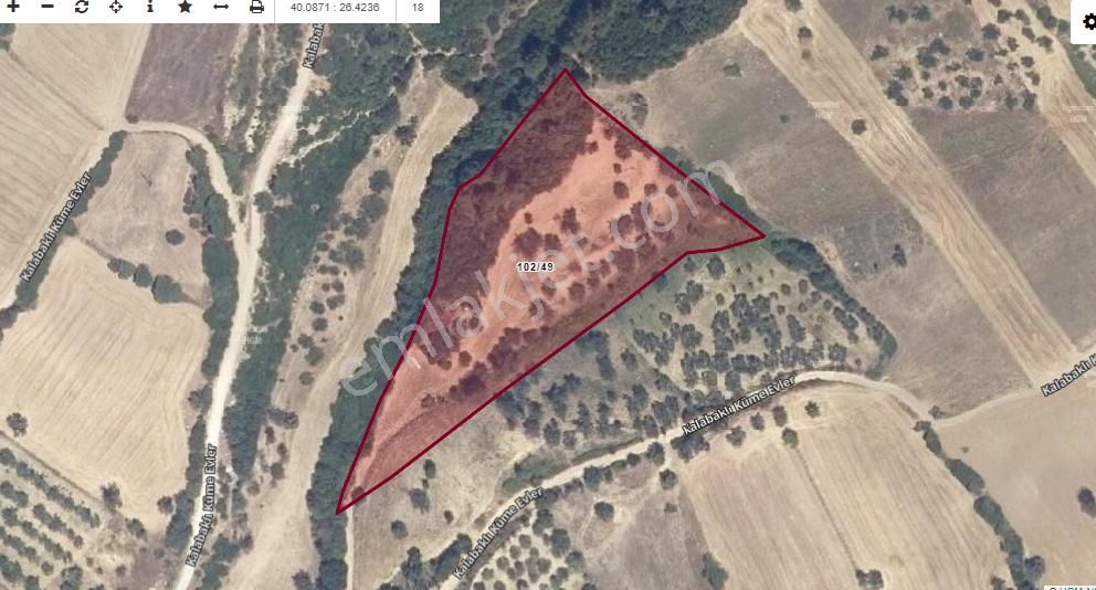Canakkale Koprusu Karşı Denize Yakın 11 Donum Arsa(zeytınlık)