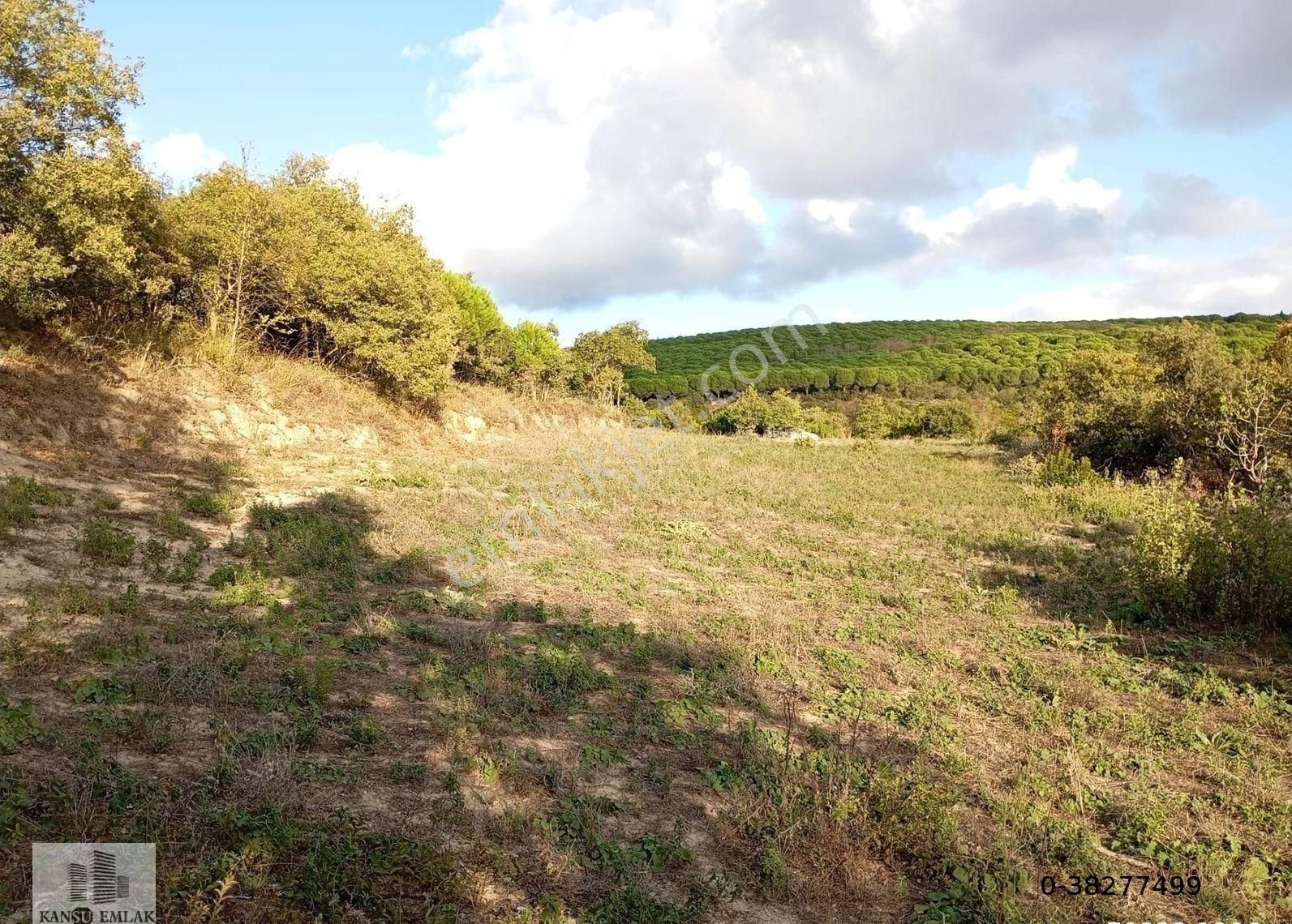 Erdek Yukarıyapıcı Satılık Bağ & Bahçe Kansu Emlak'tan Erdek Yukarıyapıcı Mah. 1.150 M2 Satılık Bağ Deniz Manzaralı Yatırımlık