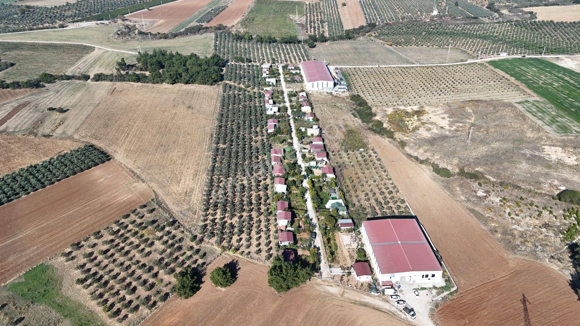 Menderes Oğlananası Atatürk Satılık Konut İmarlı Menderes Oğlananasında Tek Müstakil Tapu Tarla Vasıflı Zeytinlik İzmir