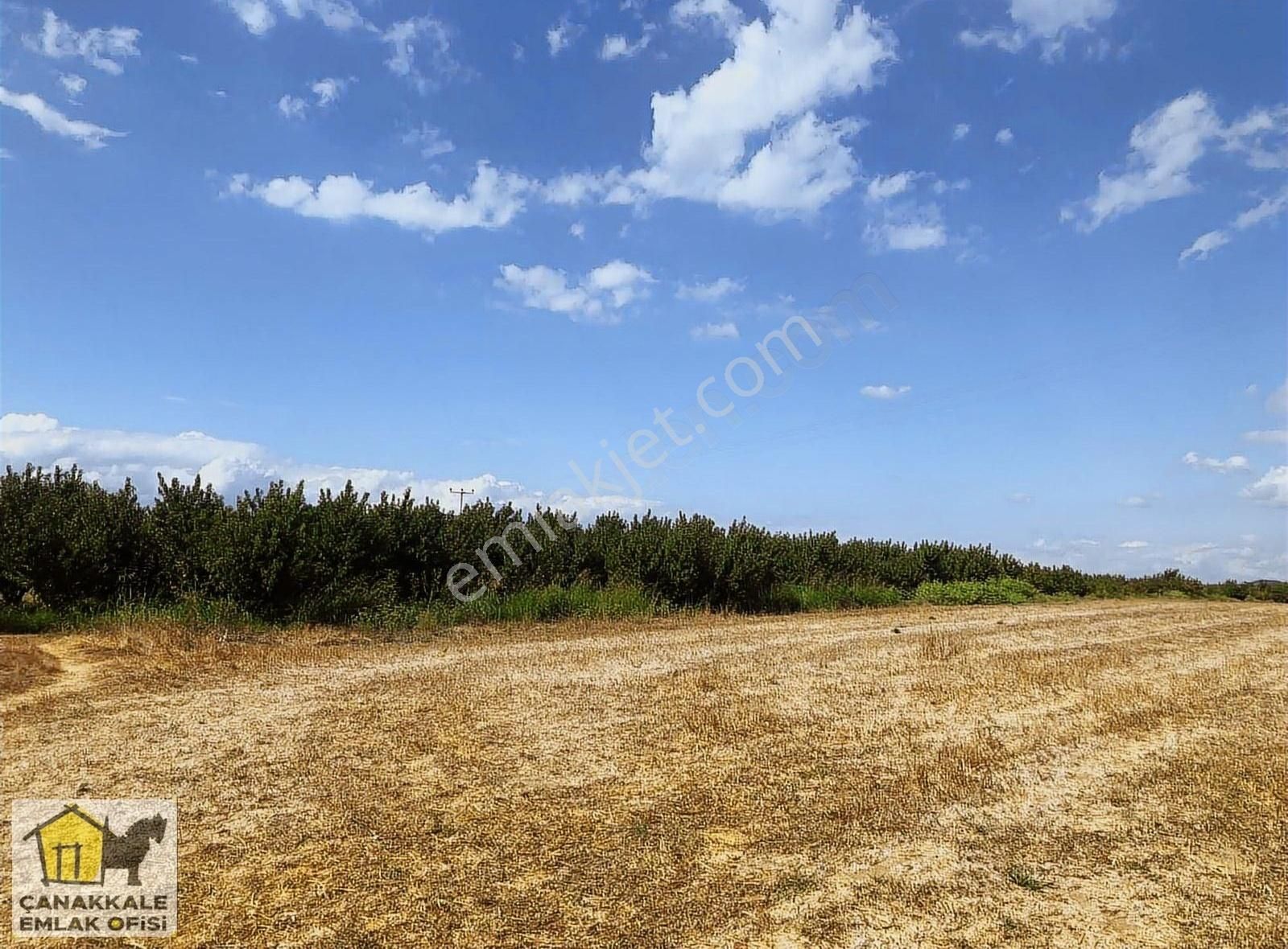 Çanakkale Merkez Akçapınar Köyü Satılık Bağ & Bahçe Çanakkale Merkezde Yatırımlık 55 Dönüm Şeftali Bahçesi