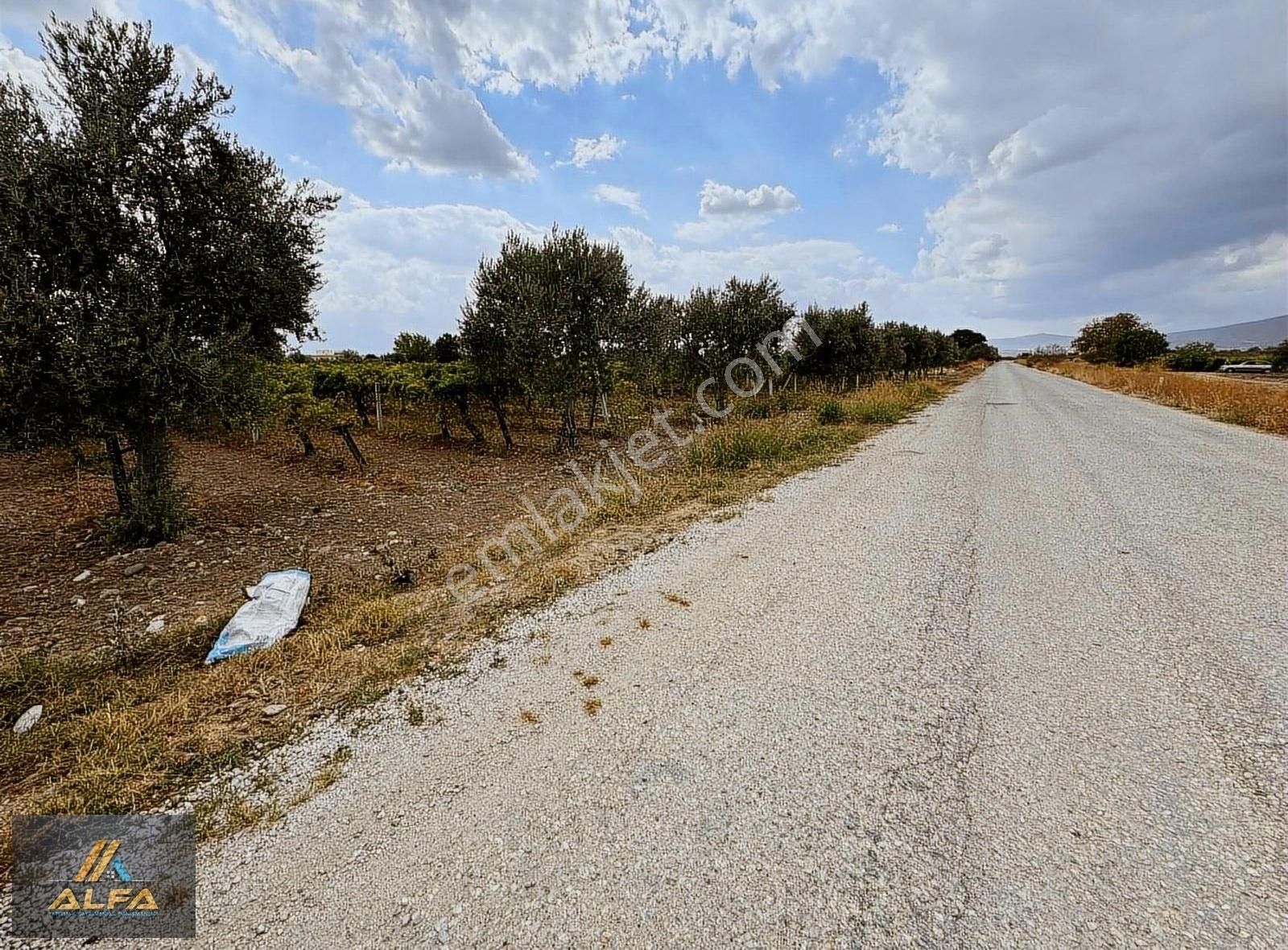 Saruhanlı Paşaköy Satılık Sanayi İmarlı Ticari İmarlı Satılık Arsa Saruhanlı Paşaköy Mahallesi